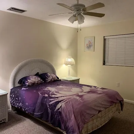 Little Cute Home